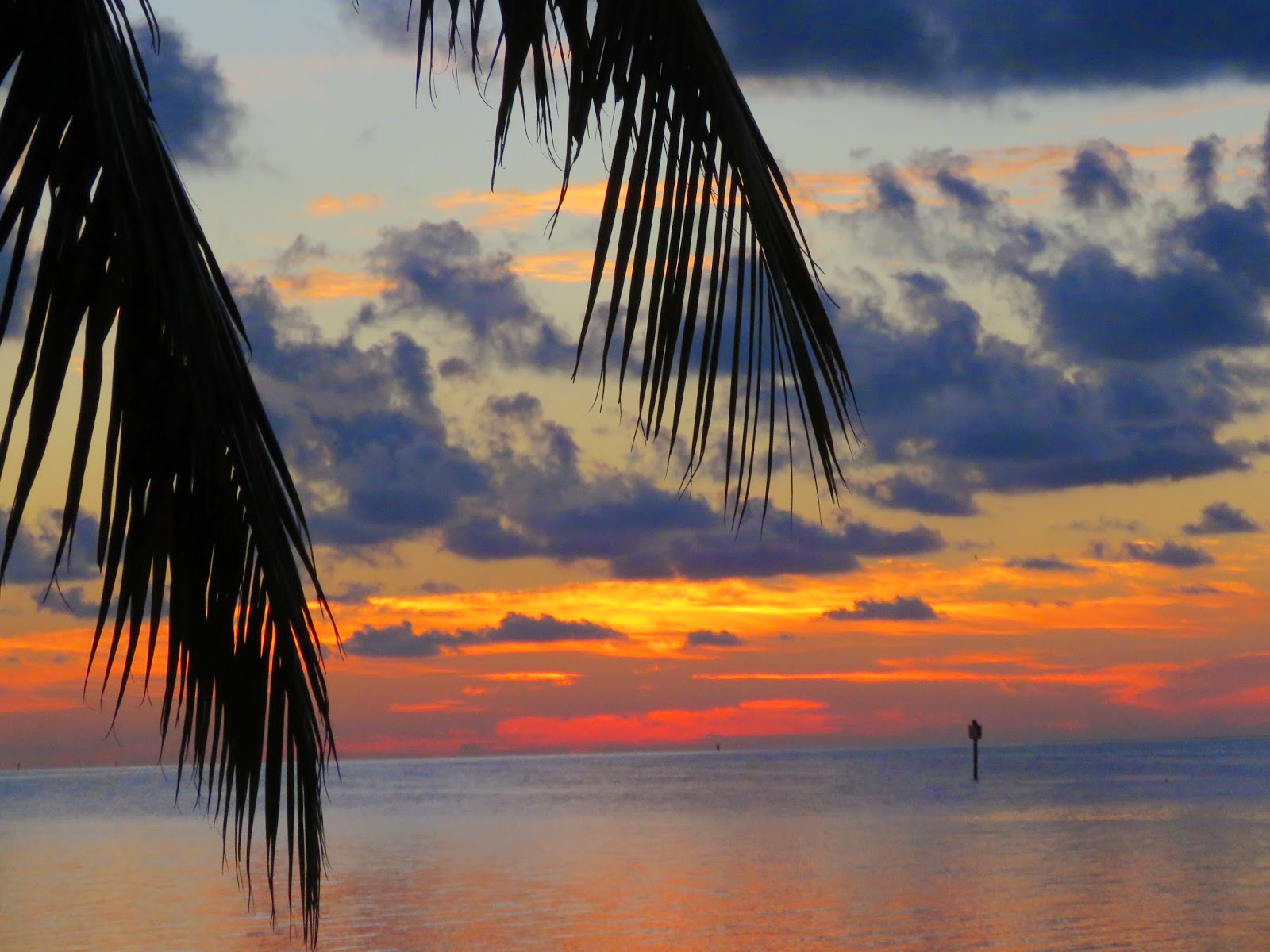 Visit Key West Sunrise in Key West