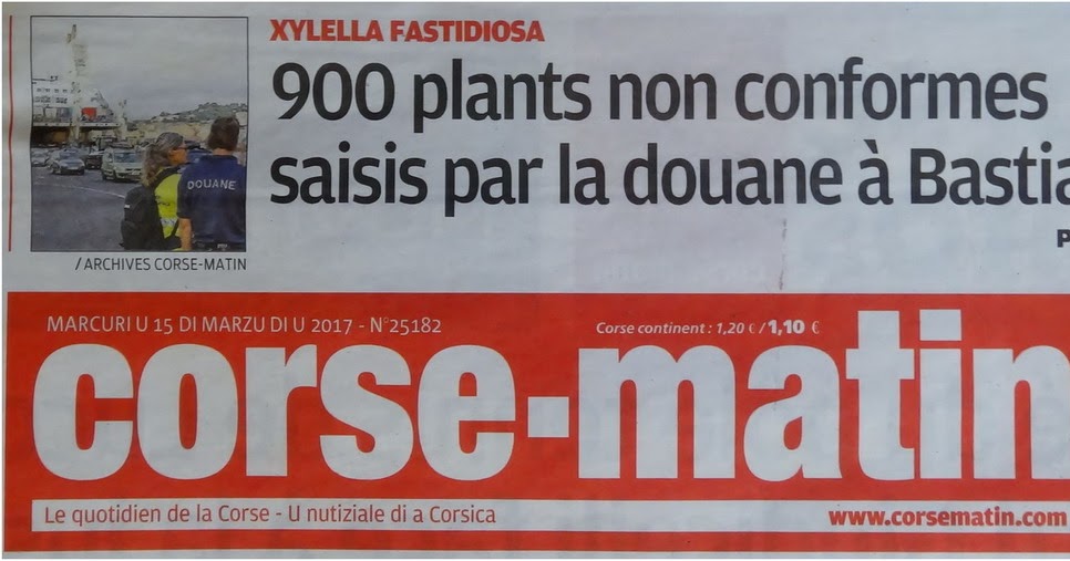 AMIS ET VISITEURS BIENVENUE * Extraits Corsematin de ce jour