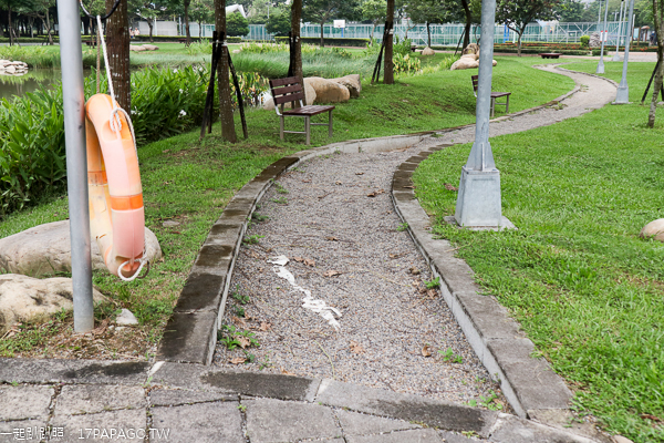 台中北屯|廍子公園|黃花風鈴木|滑板場|巨人腳印公園|綠籬迷宮|生態池|拱橋 台中北屯|廍子公園|黃花風鈴木|滑板場|巨人腳印公園|綠籬迷宮|生態池|拱橋