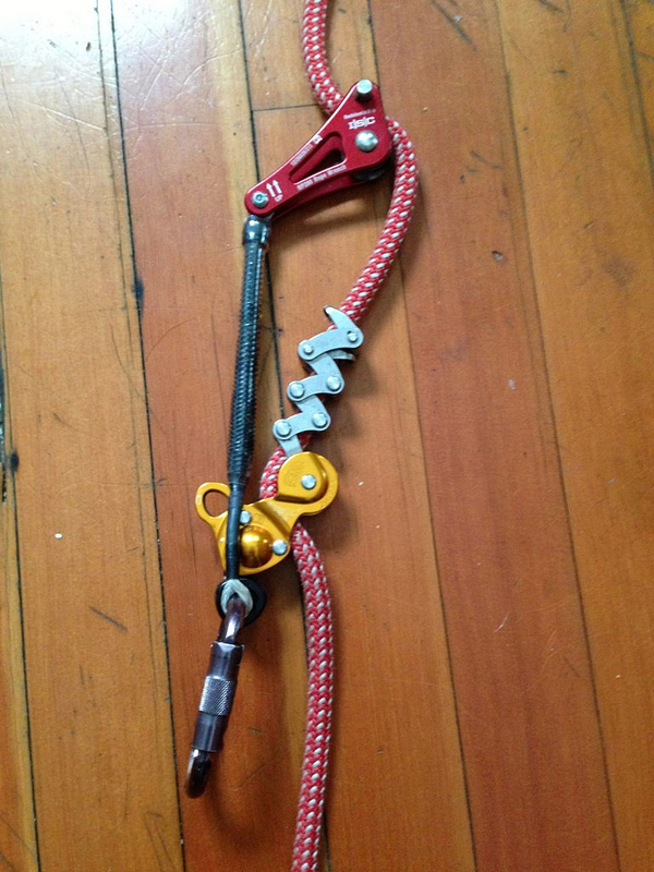 TreeMinded Tree Care Different ZagWrench tethers