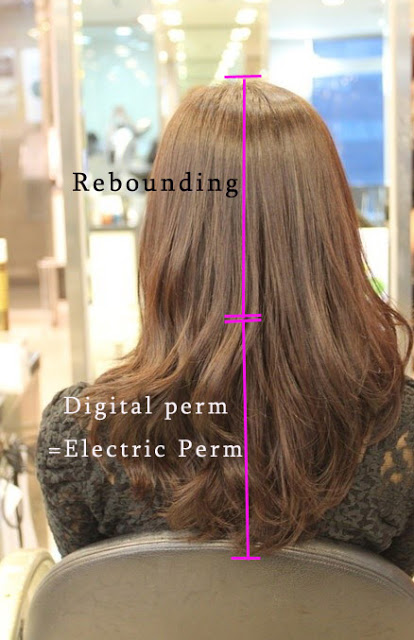 Korean Beauty Salon Dubai Digital Perm Salon Every Day Easy