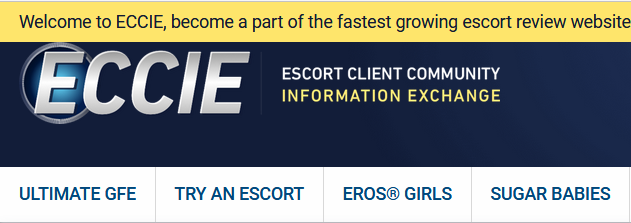 What Happened To Eccie.Net