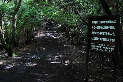 ป่าอาโอกิงาฮาระ (Aokigahara) @ www.aokigaharaforest.com
