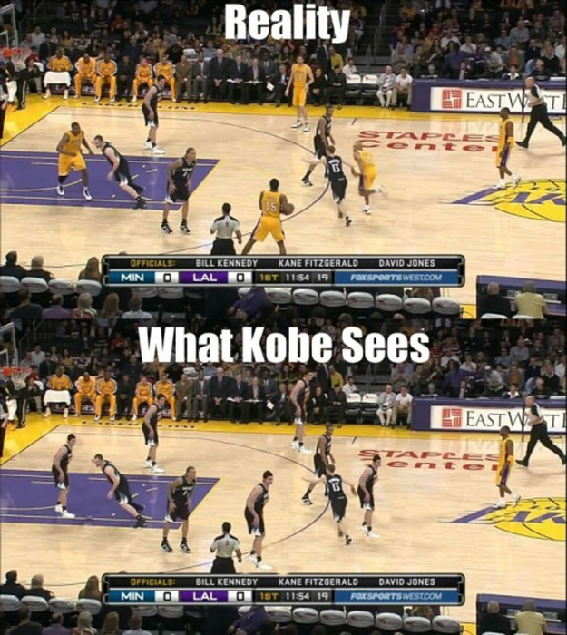 memesNBA: Kobe Bryant- Black Mamba or Ball Hog?