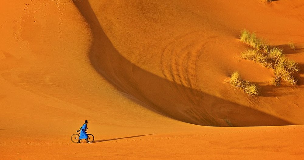 Allfavs Photo Cycling Through Sand Dunes And Yellow Poplar Trees In Taklamakan Desert China