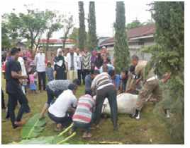 Pemko Tebingtinggi Menyembelih Hewan Qurban 727 Ekor Lembu Dan 146