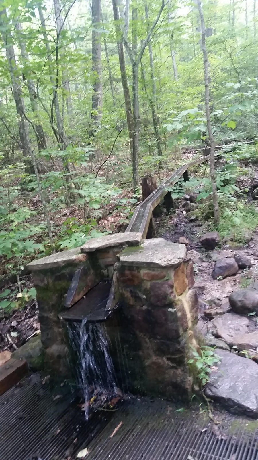 "Lee 333 Challenge" Hike all the trails in the Washington