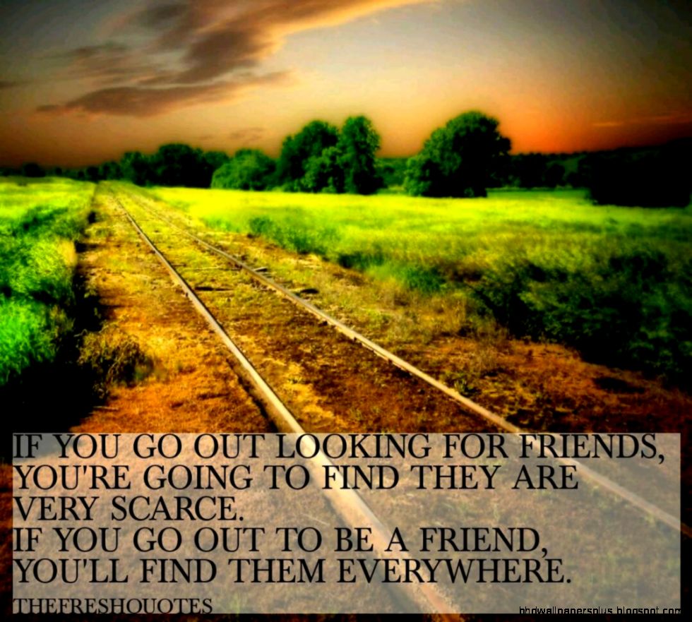 If you go out looking for friends you39re going to find they are