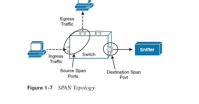 Span. / Bv AbkГјrzung Span. / Bv AbkГјrzung