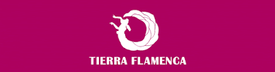 TIERRA FLAMENCA -ティエラ・フラメンカ-　福岡のフラメンコ教室