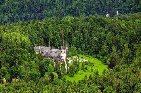 vista aerea del castillo rodeado por bosque