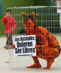 Los animales quieren ser libres