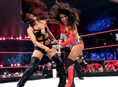 Cissilissi: nikki bella wwe 2013