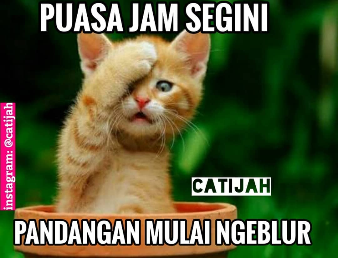 Meme Lucu Ramadhan Terbaru - Gambar Meme Lengkap