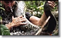Man holding a snake