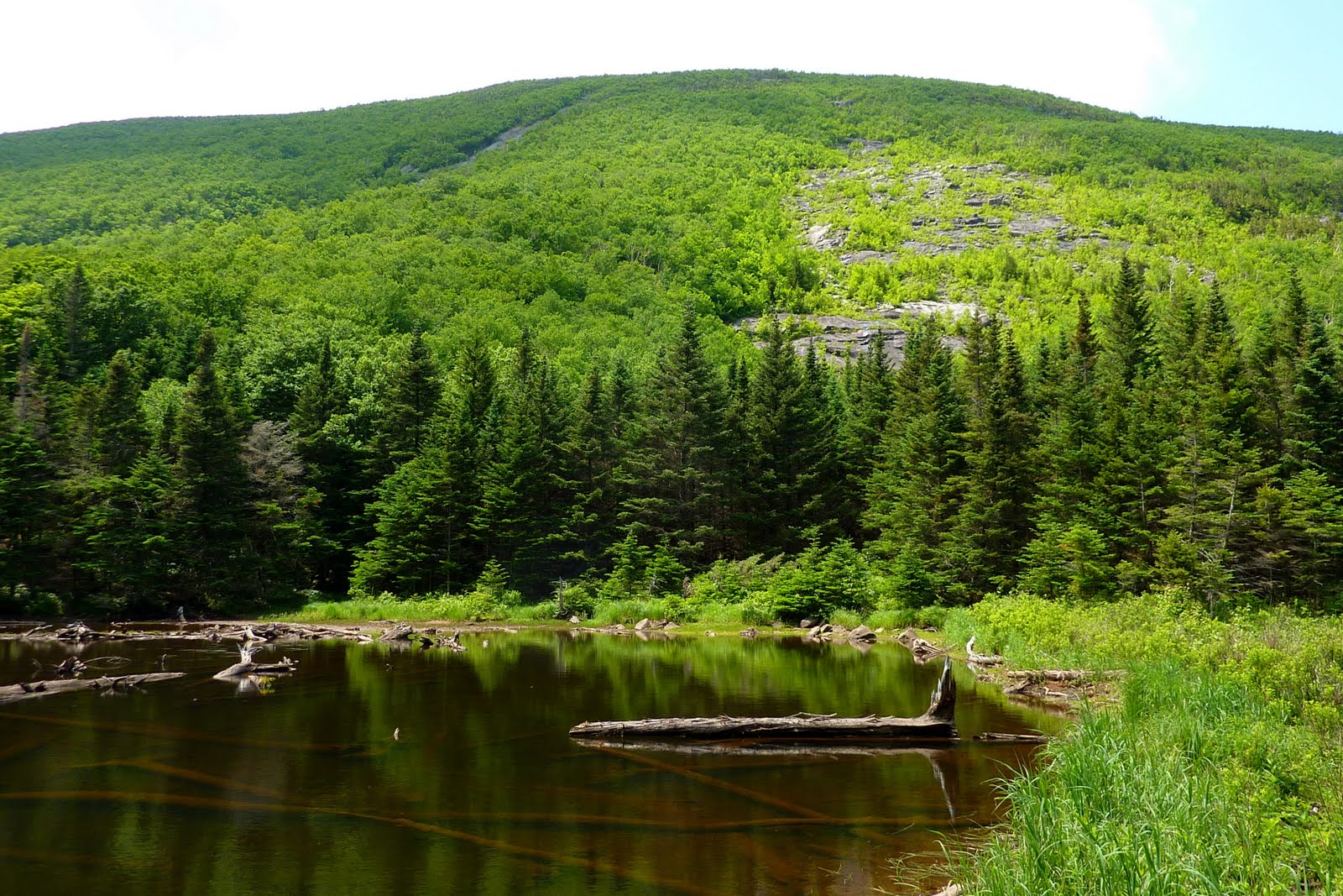 1HappyHiker Tunnel Brook Trail; Cliffs of Clough; Exploring an Unnamed