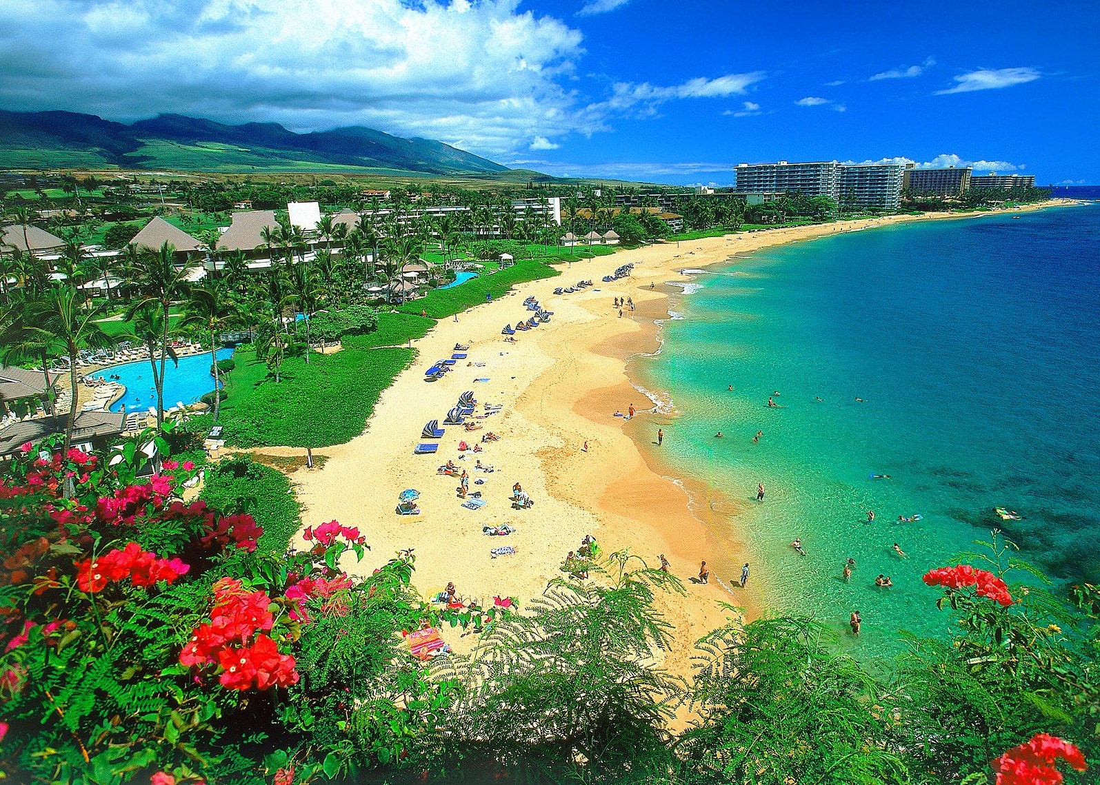 Tourism Hawaii Island