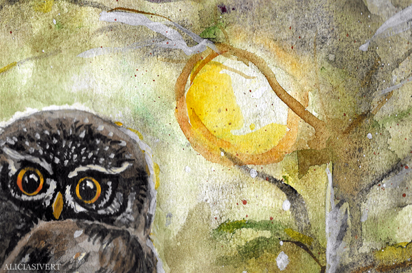 Eurasian Pygmy Owl painting by Alicia Sivertsson, 2015 (detail)
