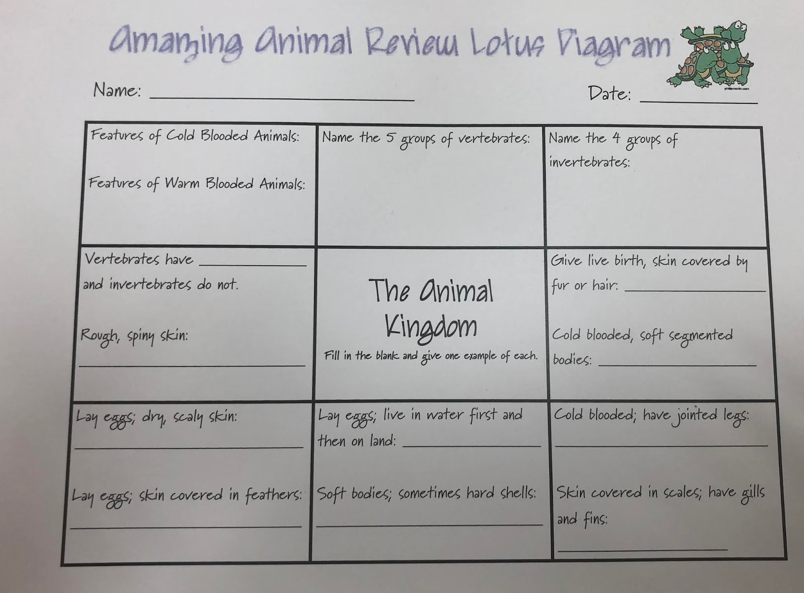 Nas dubai homework blog year 4 07 picture