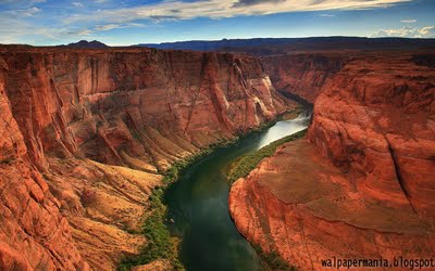 Standards of beauty essay image