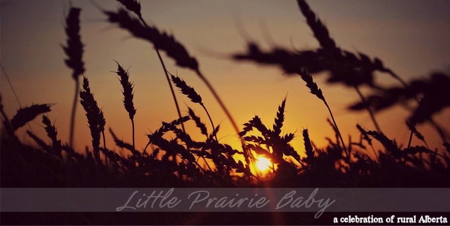 Little Prairie Baby