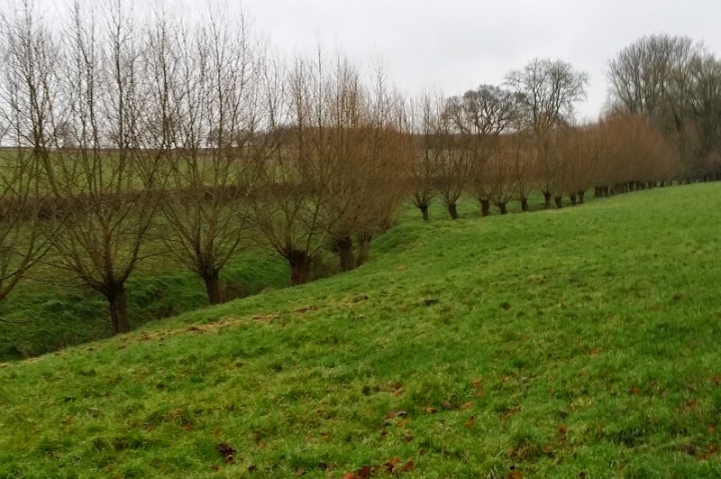 Lucy's Wednesday walks Holy Cross, near Clent, Worcs. Gear testing time!