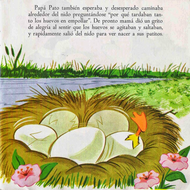 Nace - patito- cisne