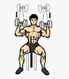 Dumbell Press Dumbell Press