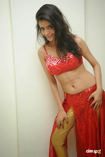 Actress Gehana Vasista Navel Show Photos