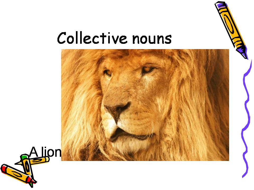 FPS eagles Power pack PresentationsCollective Nouns (Grade IV)