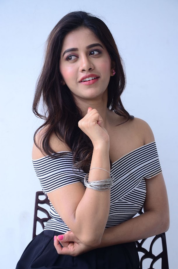 Nabha Natesh at Nannu Dochukunduvate Interview