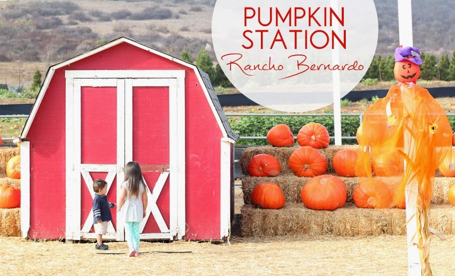 Visit Pumpkin Station Rancho Bernardo Farm One Whimsy Lane