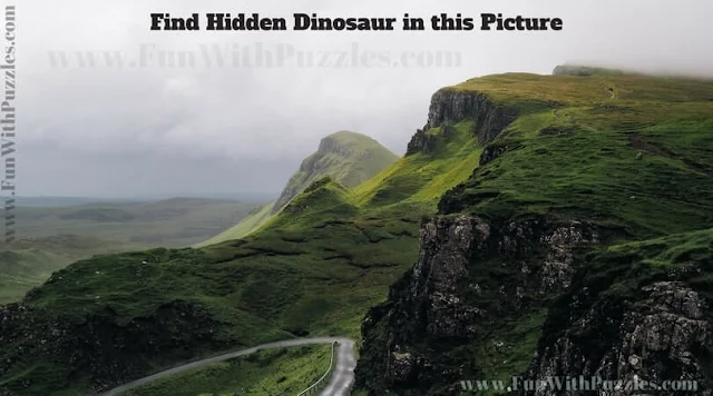 Picture Puzzle to find hidden Dinosaur