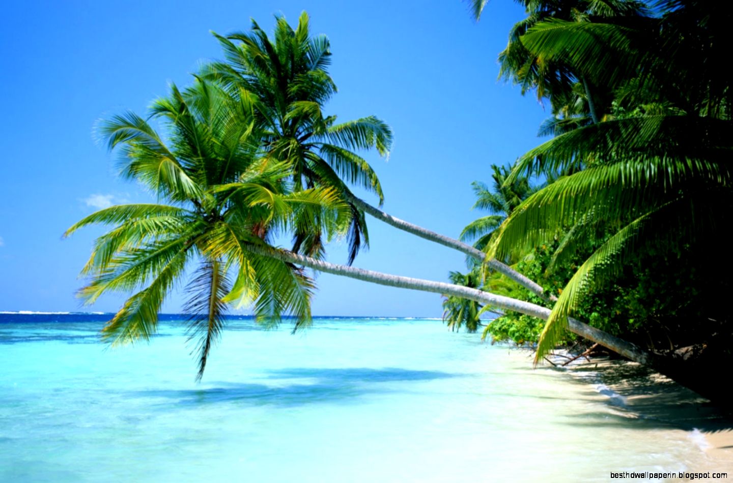 Nature In High Resolution For Free Get Desktop Wallpaper Nature