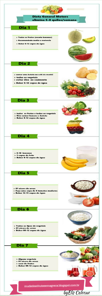 dieta gm dia 5