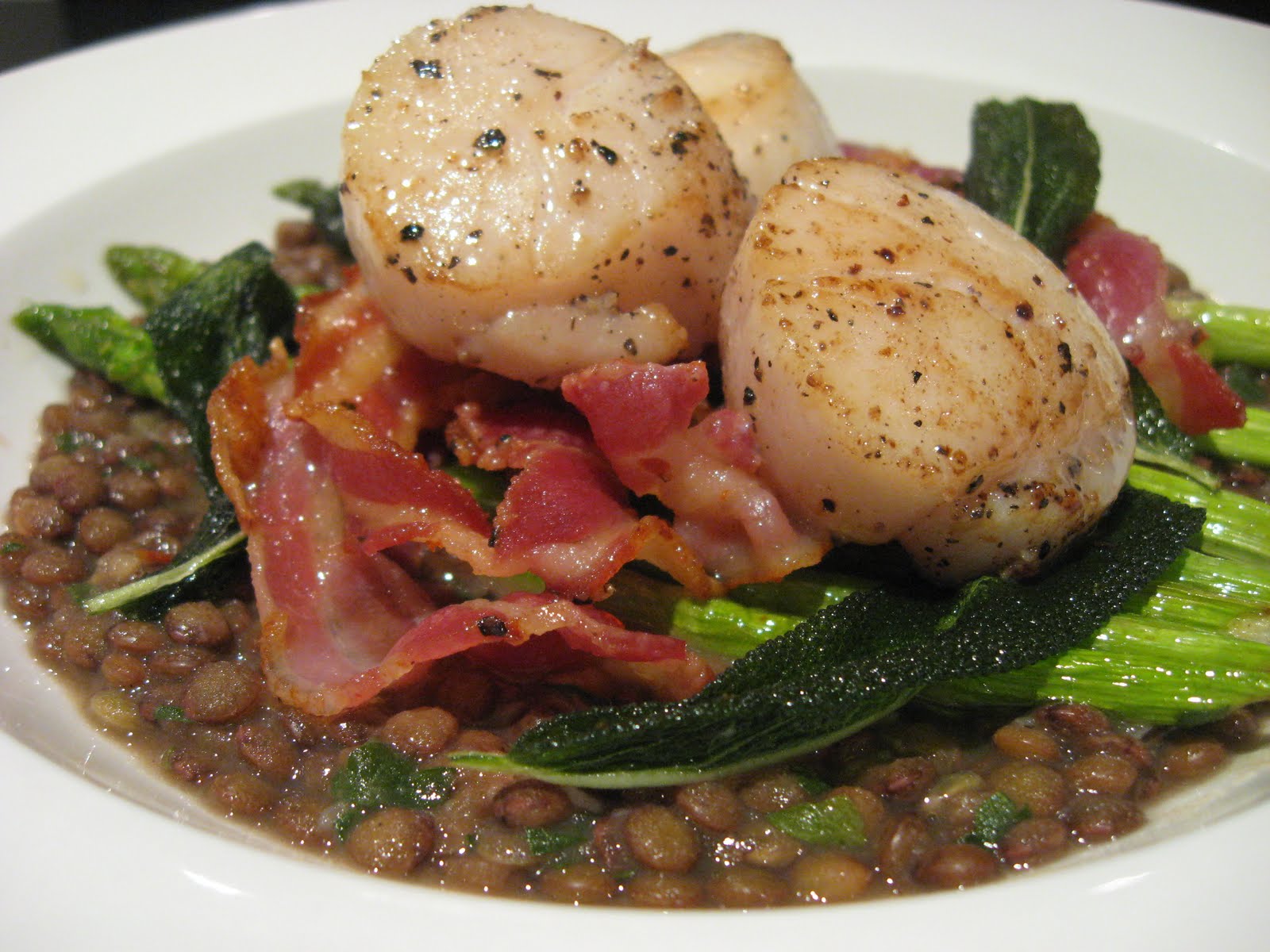 Morsels and Musings scallops w lentils, pancetta & sage