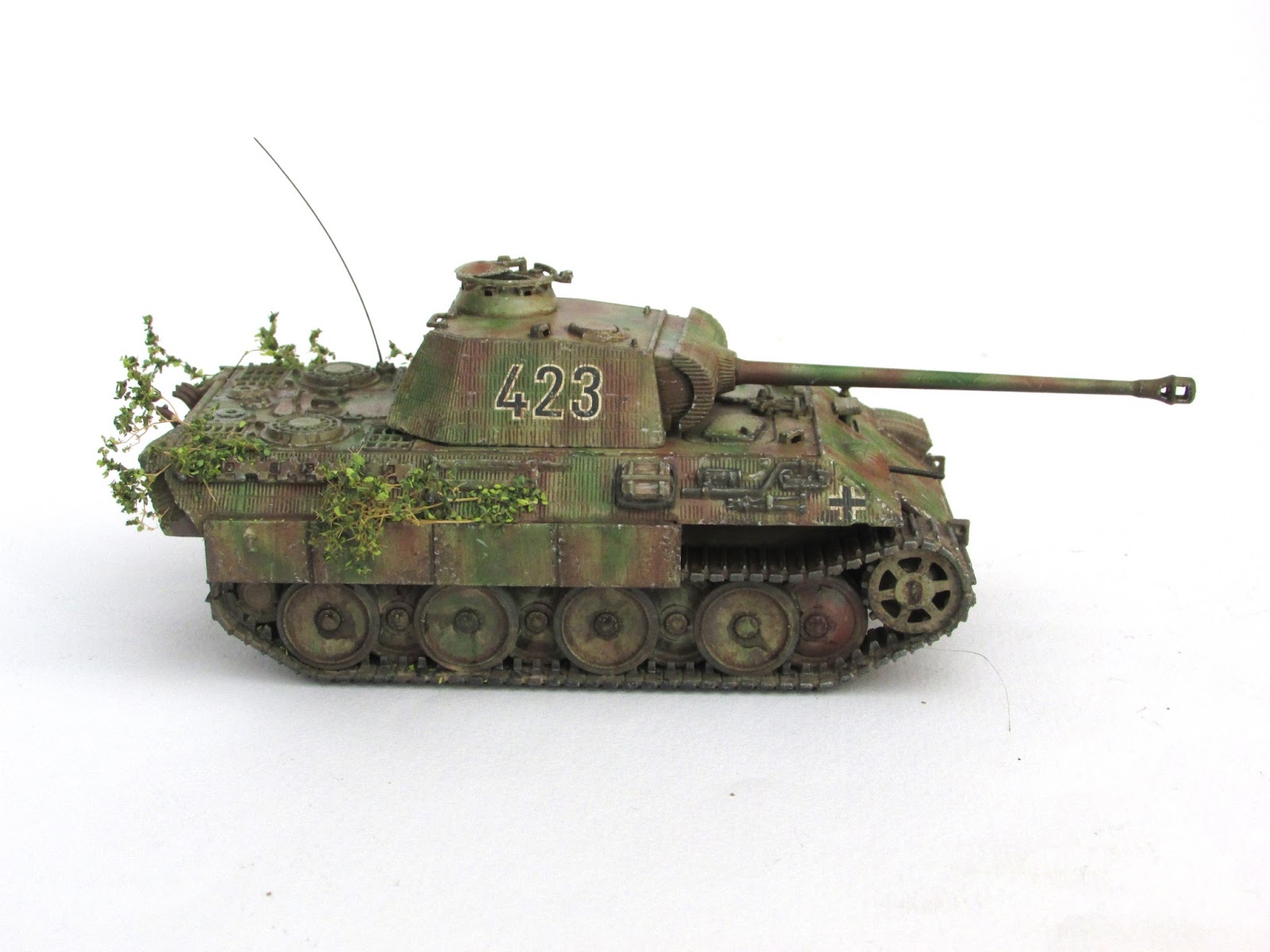 Panther a Голландия