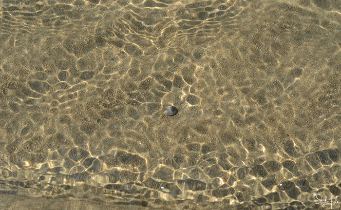 Image of ripples in the water on a bed of sand with sea shells with sunshine reflecting in the sea