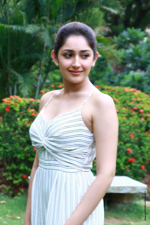 Sayyeshaa Saigal at Ghajinikanth Press Meet