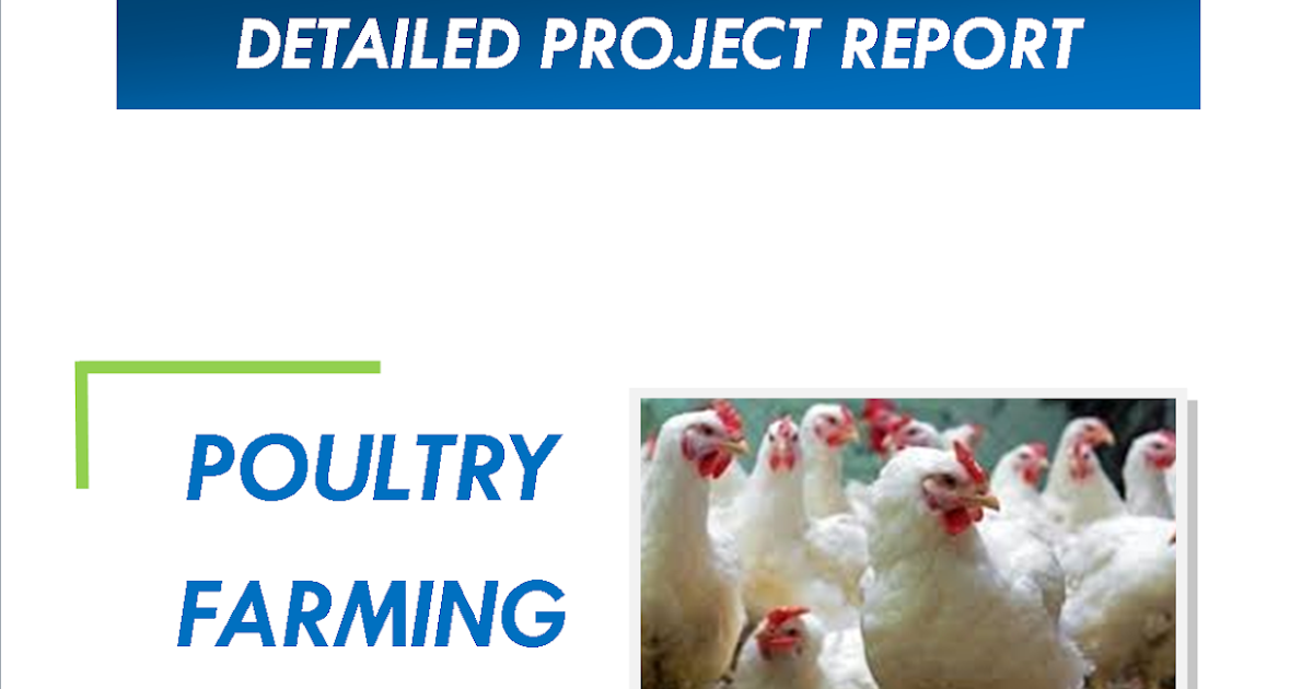 Poultry Farming Project Report Space Consultancy Services