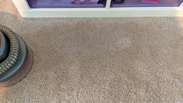 image of area of carpet, showing discoloration from wetness but no more purple!