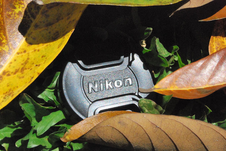 The lost Nikon