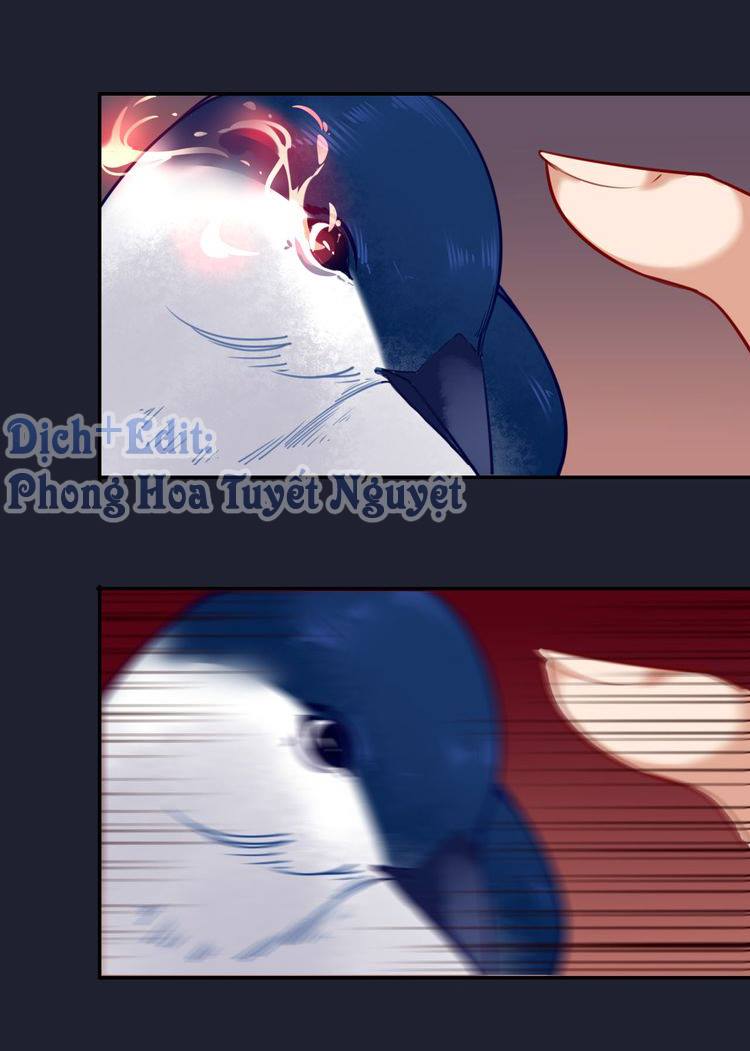 Cẩm Lý Quy Chap 1 - Next Chap 2