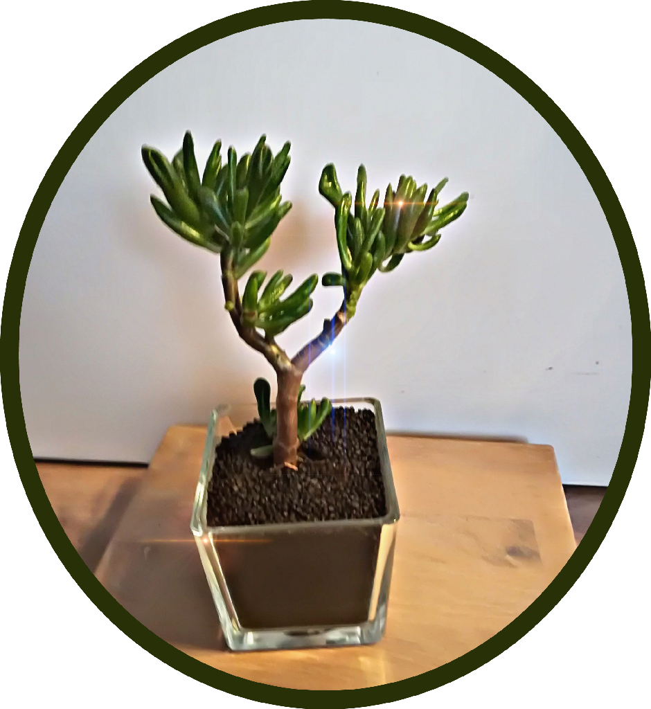 Selbstbesorger: Neu dekorieren, Blumen im Glas