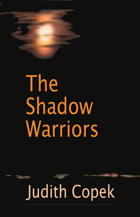 The Shadow Warriors