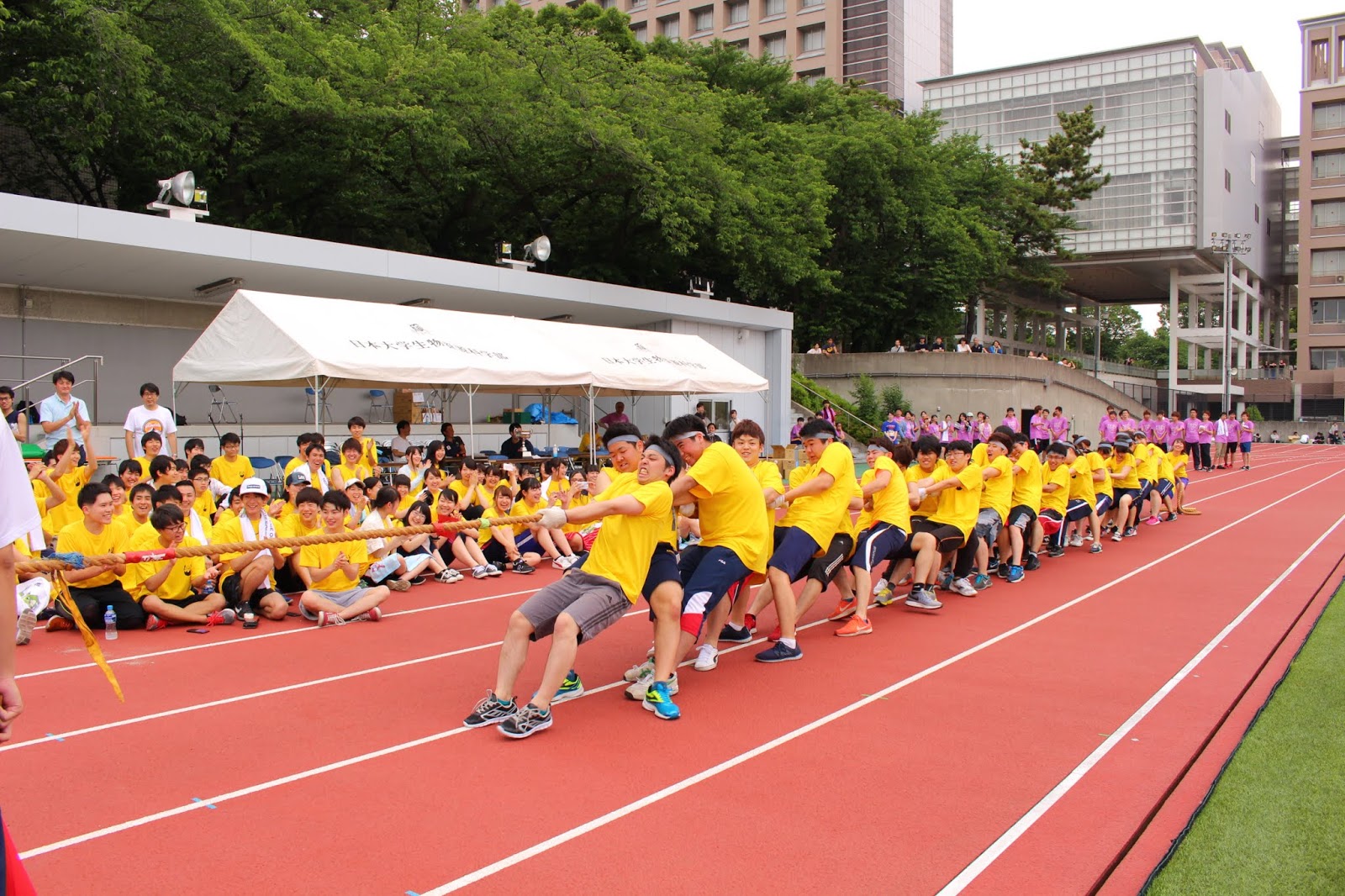 日本大学 生物資源科学部 食品生命学科 ニュース スポーツフェスタ2018🎽