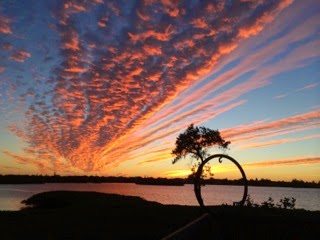Sunsets Sarasota