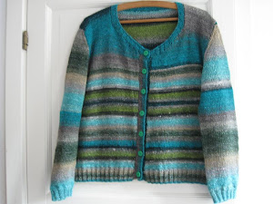 Noro cardigan