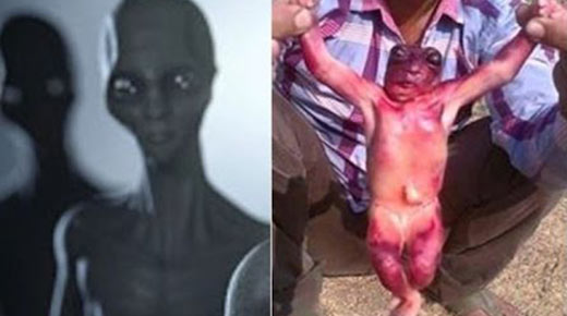 Extraña criatura captada en cámara en Jodhpur, India. ¿Es un real ser híbrido alienígena o un goblin?