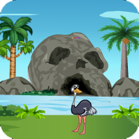 Games4escape Wild Ostrich Rescue